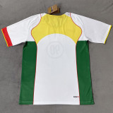 2025-26 T90NK White Green Training Shirts