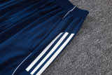 2025-26 AL-Nassr Royal blue Training Short Suit #D25199
