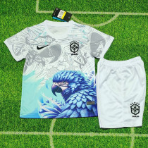 2025-26 Brazil White Special Edition Kids Soccer Jersey (白鹦鹉)