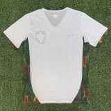 2025-26 Portugal White Training shirts