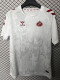 2025-26 Sunderland White Special Edition Fans Soccer Jersey