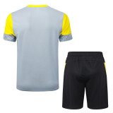 2025-26 Dortmund Light gray Training Short Suit #D25212