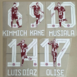 2025-26 Bayern Home Print Special Edition Photo Number Fans Soccer Jersey