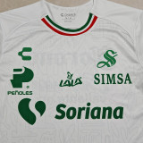 2025-26 Santos Laguna Third Fans Soccer Jersey
