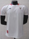 2025-26 Benfica White Casual Edition Player Version Training shirts