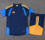 2025-26 AD Royal blue Player Version Training Short Suit (球员短套装)#D2505