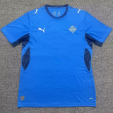 2026-27 Iceland Home Fans Soccer Jersey