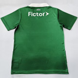 2025-26 Palmeiras Green White Special Edition Fans Soccer Jersey