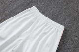 2025-26 Flamengo Light gray Jacket Tracksuit #A25100
