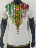 2026-27 Mali Home Player Version Soccer Jersey (吊花图)