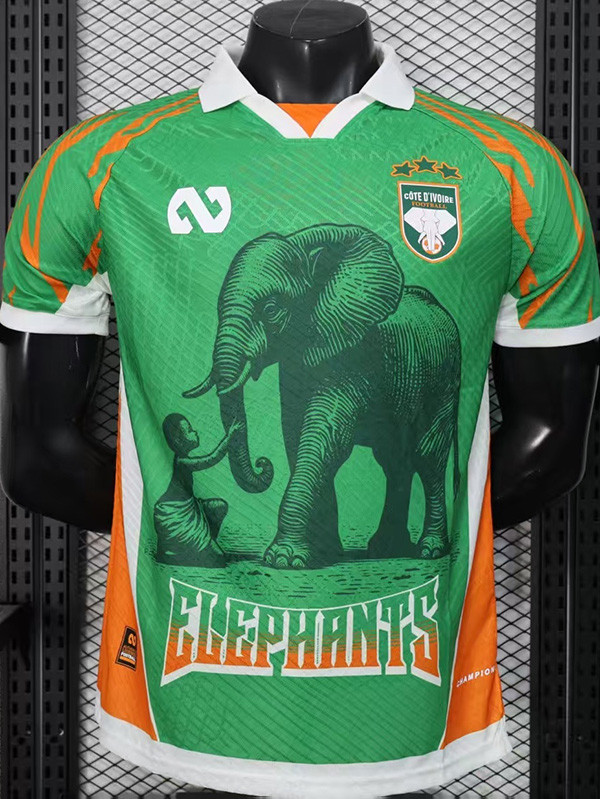 2025-26 Ivory Coast Green Special Edition Player Version Soccer Jersey