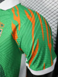 2025-26 Ivory Coast Green Special Edition Player Version Soccer Jersey