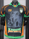 2025-26 Ivory Coast Black Special Edition Player Version Soccer Jersey