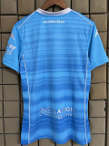 2025-26 Fiorentina Third Fans Soccer Jersey (广告版)