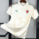 2026-27 Wales Away Fans Soccer Jersey