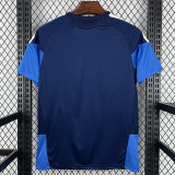 2026-27 Cruzeiro Royal blue Training shirts (宝蓝色)