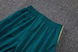 2026-27 Saudi Arabia Dark green Jacket Tracksuit #A26004