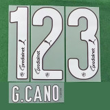 2026-27 Fluminense Home Fans Soccer Jersey