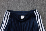 2026-27 Cruzeiro Fancy blue Training Short Suit #J26007