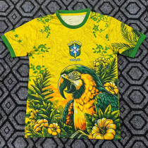 2025-26 Brazil Yellow Special Edition Training shirts 金刚鹦鹉