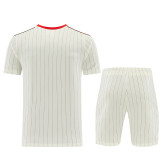2026-27 Benfica Khaki Training Short Suit