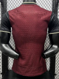 2025-26 PSG Brown Special Edition Player Version Training shirts