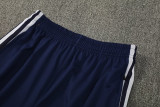 2026 AD Lake blue Half Pull Tracksuit #814(半拉链)