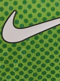 2026-27 Nigeria Home Player Version Soccer Jersey