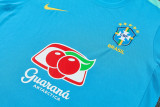 2026-27 Brazil Lake blue Training Short Suit