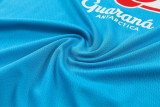 2026-27 Brazil Lake blue Training Short Suit