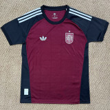 2026-27 Spain Brown Goalkeeper Fans Soccer Jersey