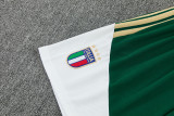 2026-27 Italy Green Tank top and shorts suit