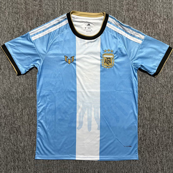 2026-27 Argentina Blue Special Edition Training shirts (太阳版)