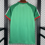 2026-27 Algeria Away Fans Soccer Jersey (无星)