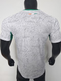 2026-27 Ivory Coast White Special Edition Player Version Soccer Jersey