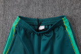 2026-27 Brazil Lake blue Jacket Tracksuit #A26043