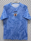 2026-27 Haiti Blue Goalkeeper Fans Soccer Jersey