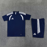 2026 AD14 Royal blue Training Short Suit