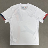 2025-26 PSG Away 2 stars Fans Soccer Jersey (Embroidered 刺绣2星)