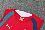 2026-27 Portugal Red Tank top and shorts suit
