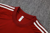 2026-27 Spain Brown Red Training Short Suit #J26037