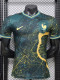 2026-27 France Green Special Edition Player Version Training shirts