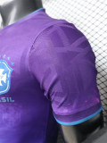 2026-27 Brazil Purple Special Edition Player Version Training shirts