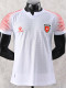 2026-27 Jordan Home Player Version Soccer Jersey