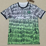 2026-27 Nigeria Grey Green Training Shirts
