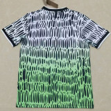 2026-27 Nigeria Grey Green Training Shirts