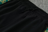 2026-27 Ghana Yellow Jacket Tracksuit