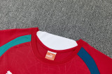 2026-27 Portugal Red Training Short Suit
