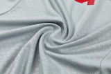 2026-27 LIV Gray Training Short Suit