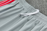 2026-27 LIV Gray Training Short Suit